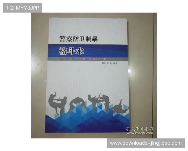 格斗运动伦理学研究进展：暴力美学与体育精神边界讨论